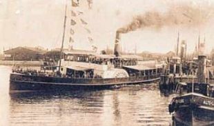 Delphin